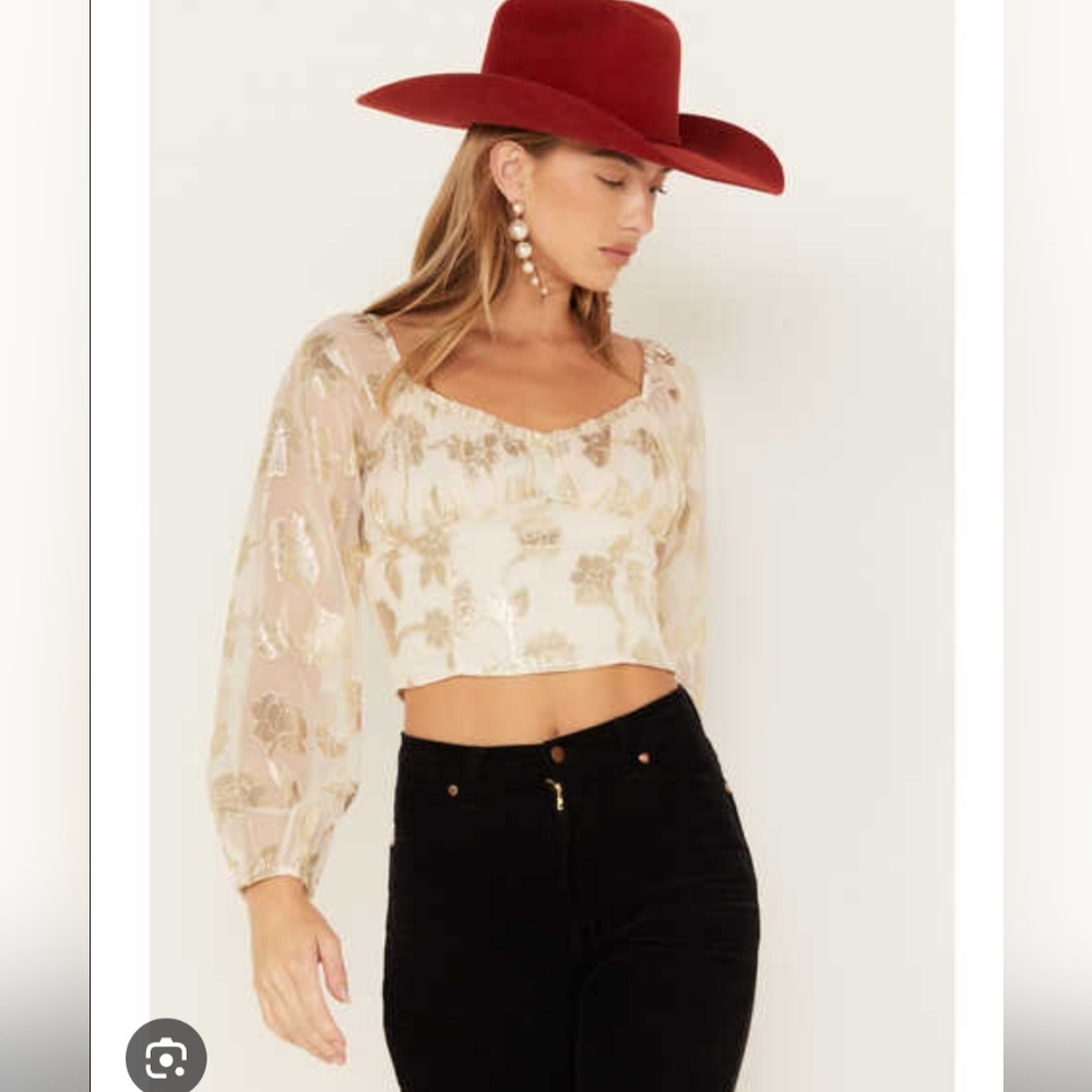 Sage Ivory and Gold Floral Sheer Puff Sleeve Crop Top